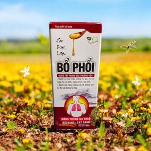 Bổ phổi