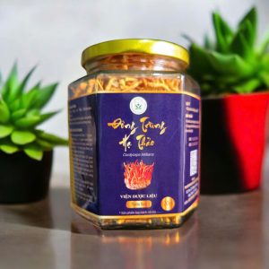 Đông trùng hạ thảo VDL - 20g